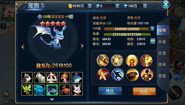 宠物大全