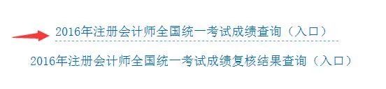 2017年CPA考试成绩什么时候查询？