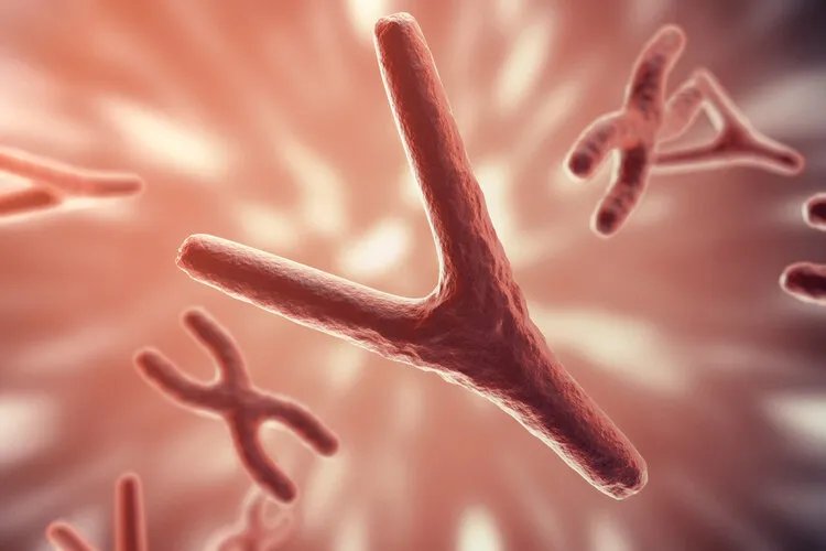 研究发现:人一共有56种性别!怎么判断自己是哪一种?自测一下