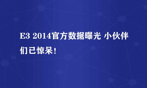 E3 2014官方数据曝光 小伙伴们已惊呆！