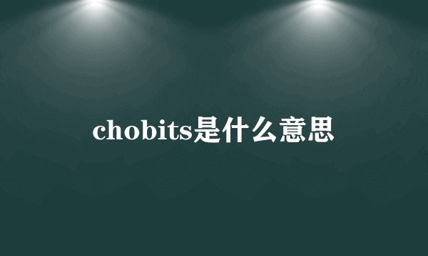 chobits是什么意思