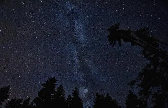 流星雨2020年8月什么时候出现  今年8月流星雨的具体时间表