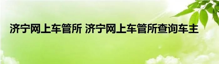 济宁网上车管所 济宁网上车管所查询车主