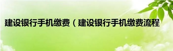 建设银行手机缴费（建设银行手机缴费流程
