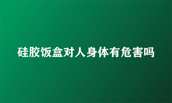 硅胶饭盒对人身体有危害吗