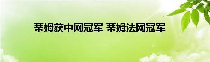 蒂姆获中网冠军 蒂姆法网冠军