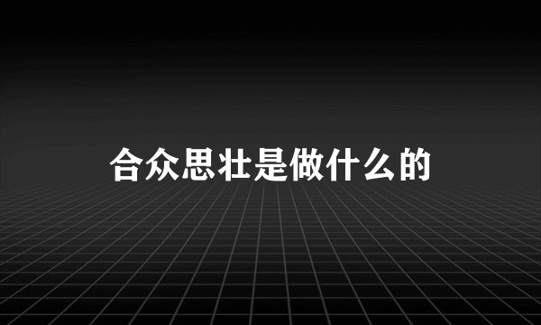 合众思壮是做什么的