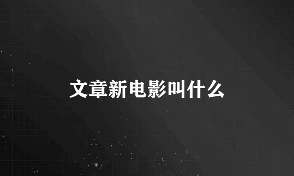 文章新电影叫什么