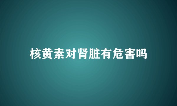 核黄素对肾脏有危害吗