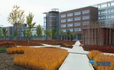 院校代码查询
