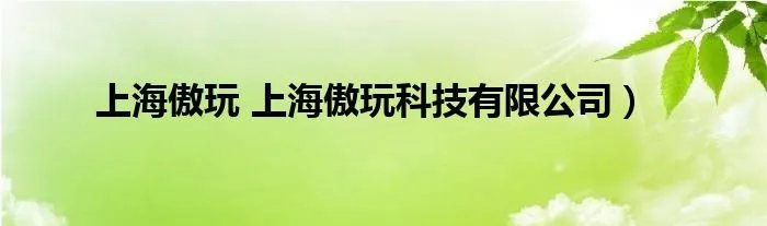 上海傲玩 上海傲玩科技有限公司）