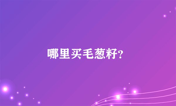 哪里买毛葱籽？