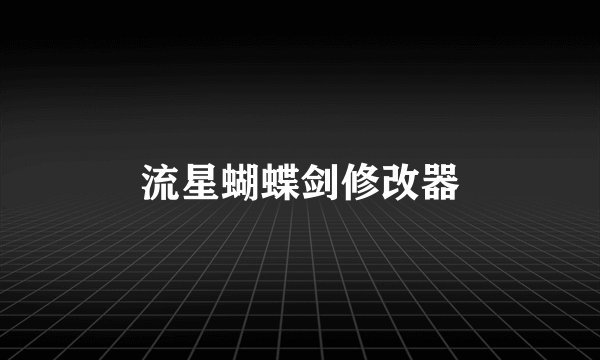 流星蝴蝶剑修改器