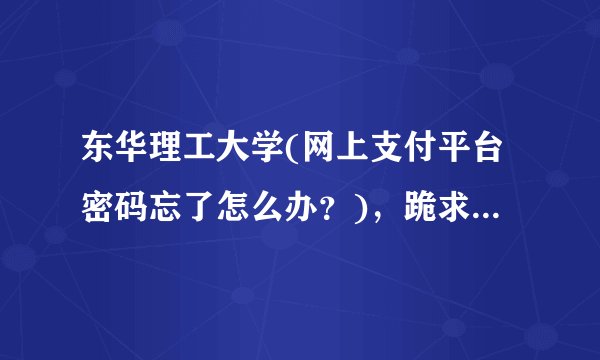 东华理工大学(网上支付平台密码忘了怎么办？)，跪求帮助！谢谢？