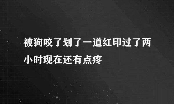 被狗咬了划了一道红印过了两小时现在还有点疼