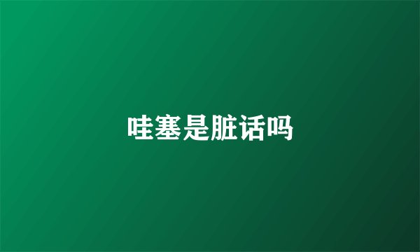哇塞是脏话吗