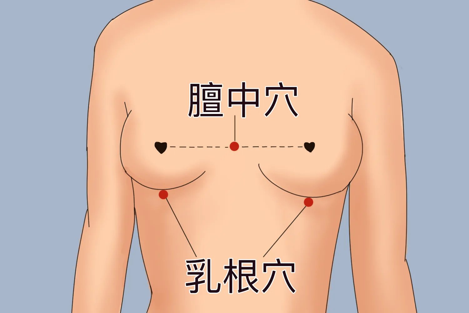 乳根的准确位置图和作用按摩方法