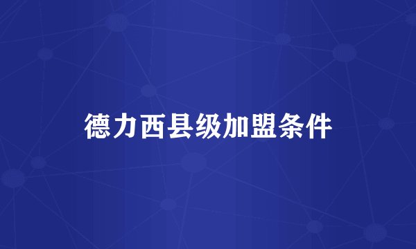 德力西县级加盟条件