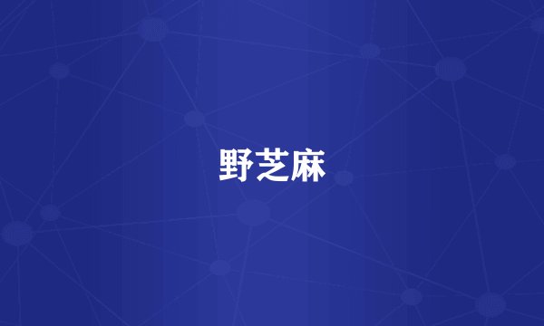 野芝麻