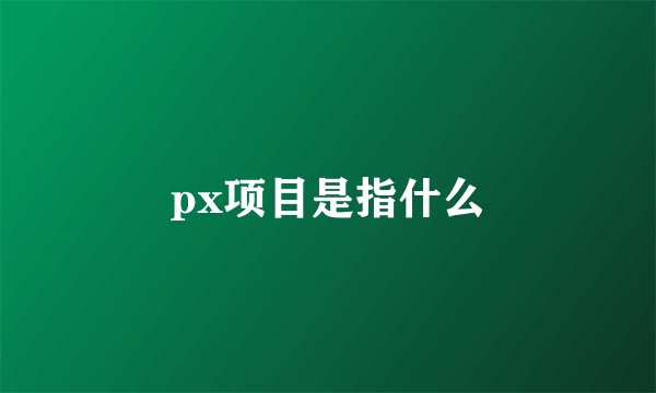 px项目是指什么