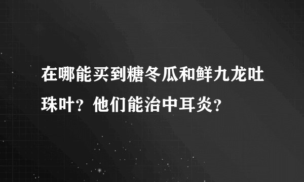 在哪能买到糖冬瓜和鲜九龙吐珠叶？他们能治中耳炎？