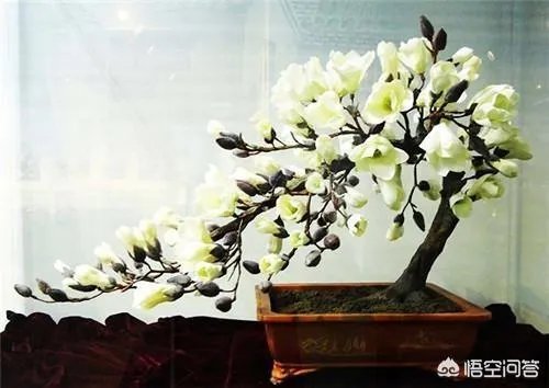 北京有什么特产?