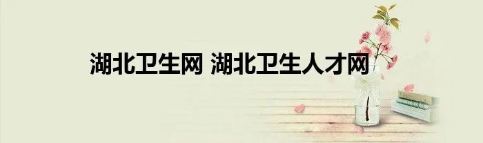 湖北卫生网 湖北卫生人才网