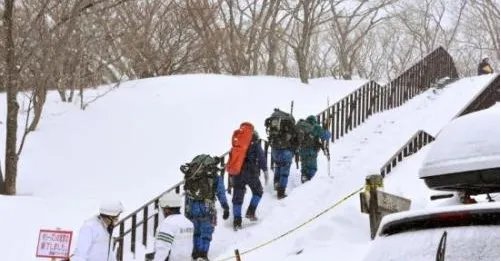 日本栃木县雪崩事故原因查明了吗？