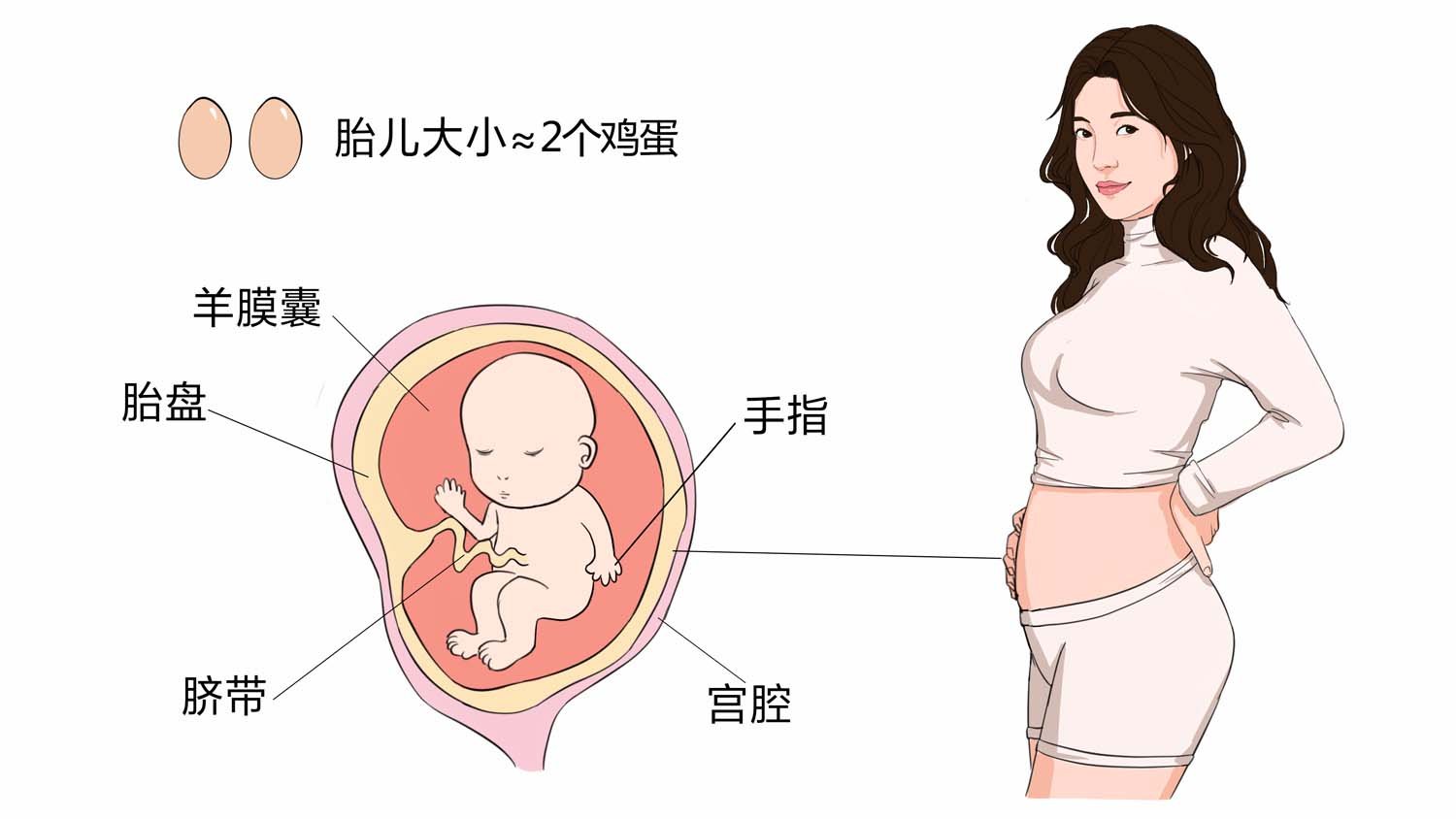 怀孕第14周