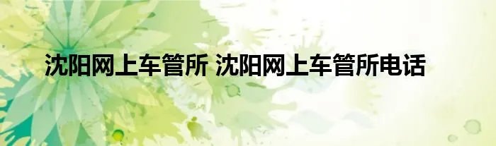 沈阳网上车管所 沈阳网上车管所电话