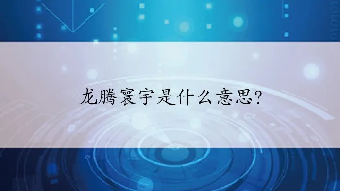 龙腾寰宇是什么意思?