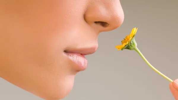 耳朵里面疼的原因