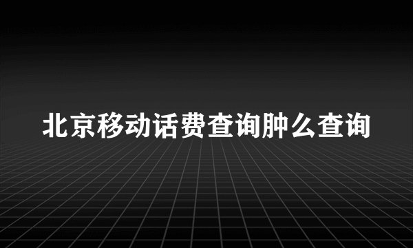 北京移动话费查询肿么查询