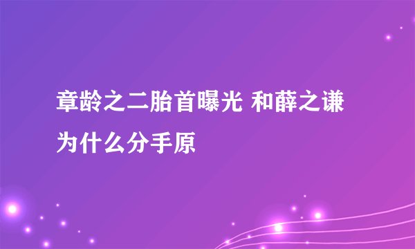 章龄之二胎首曝光 和薛之谦为什么分手原