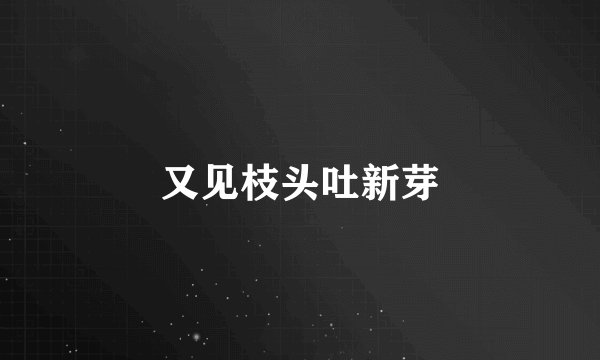 又见枝头吐新芽