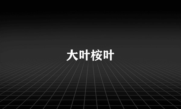 大叶桉叶