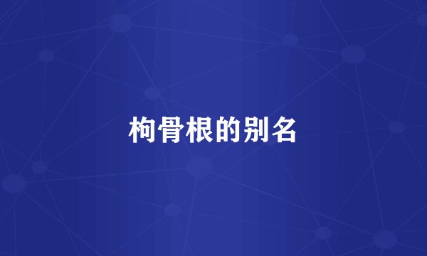 枸骨根的别名