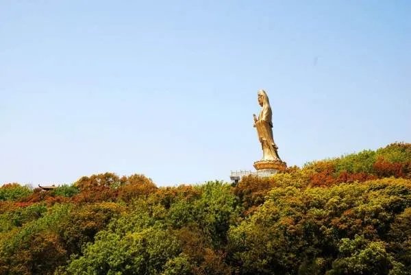 2020年普陀山寺庙开放了吗