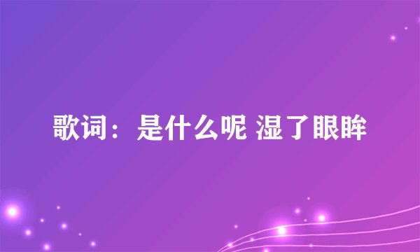 歌词：是什么呢 湿了眼眸