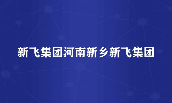 新飞集团河南新乡新飞集团