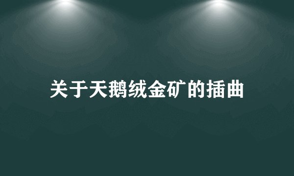 关于天鹅绒金矿的插曲
