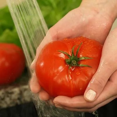 食用菌保健品