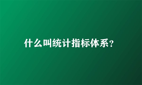 什么叫统计指标体系？