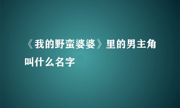 《我的野蛮婆婆》里的男主角叫什么名字