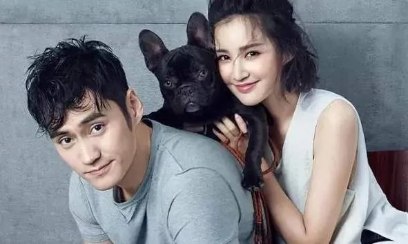 张歆艺第一任丈夫是谁:张歆艺感情史婚史介绍