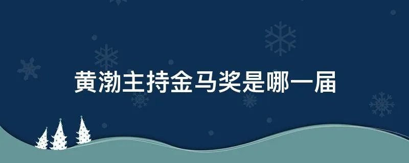 黄渤主持金马奖是哪一届