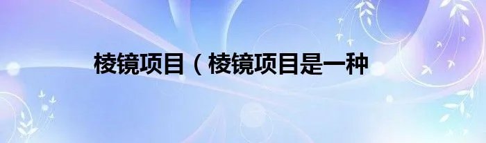 棱镜项目（棱镜项目是一种