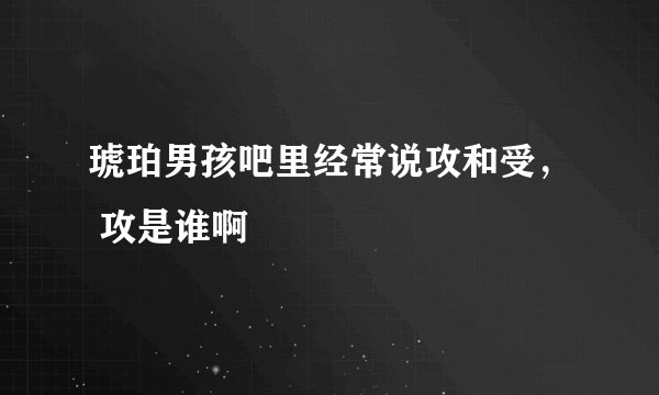 琥珀男孩吧里经常说攻和受， 攻是谁啊