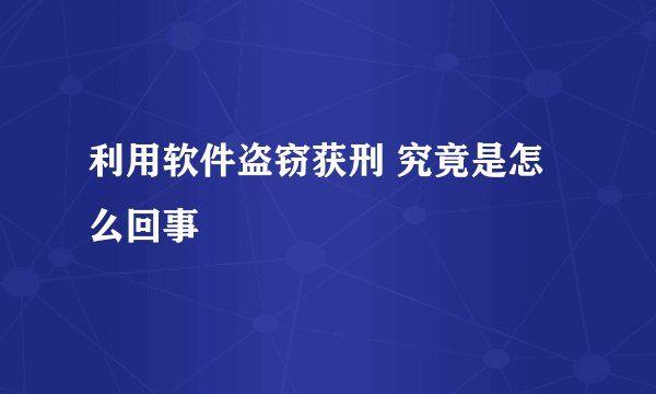 利用软件盗窃获刑 究竟是怎么回事