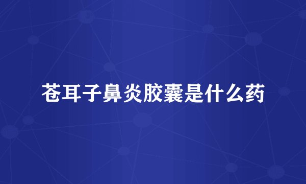 苍耳子鼻炎胶囊是什么药